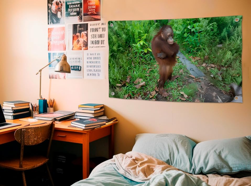 3x5 Feet Cute Orangutan Funny Meme Flag with Four Brass Grommets - Single Sided Beautiful Animals Posters for Man Cave - Polyester Hanging Tapestries