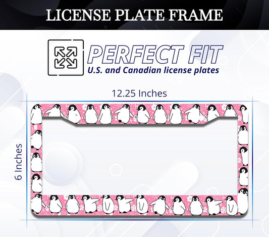 Personalized Car License Plate Frame - Stainless Steel Plate Frame with Screws 6 x 12.25 inches and 2 Holes and Screws