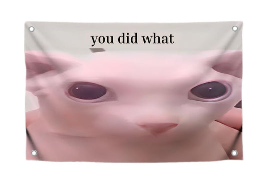 3x5 Feet Cats Meme Flag with Quote "You Did What" with Four Brass Grommets - Polyester Funny Cat Banner for Outdoor or Indoor Decor