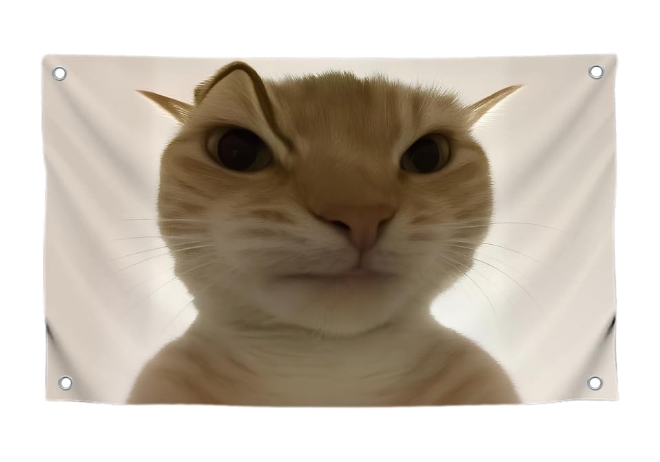 3x5 Feet Hilarious Cat Meme Flag with Four Brass Grommets - Single Sided Tapestry Posters with Cute Animals - Polyester Wall Durable Flags