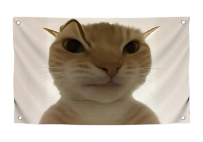 3x5 Feet Hilarious Cat Meme Flag with Four Brass Grommets - Single Sided Tapestry Posters with Cute Animals - Polyester Wall Durable Flags
