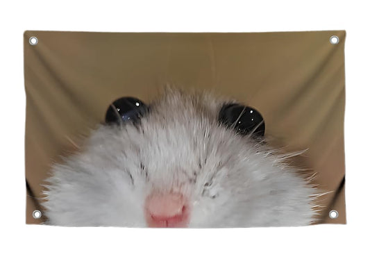 3x5 Feet Beautiful Hamster Cool Flags with Four Brass Grommets - Single Sided Cute Animals Wall Flag for Guys Bedroom Decor - Polyester Meme Tapestry
