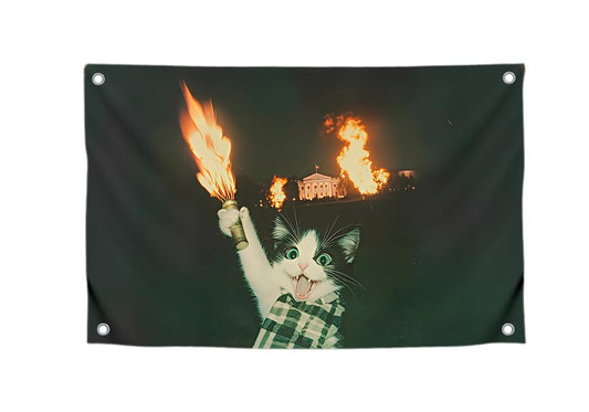 3x5 Feet Cool Flags Banners for Room Guys and Girls with Four Brass Grommets - Single Sided Meme Tapestry Flag with Cat - Polyester Poster for Bedroom