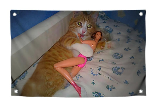 3x5 Ft Single Sided Polyester Flag with 4 Brass Grommets - Funny Cat and Doll Meme Poster for College Dorm - Cool Apartment Flag for Indoor
