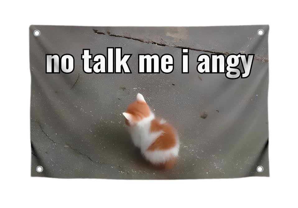 3x5 Feet Cat Meme Single Sided Flag with Quote "No Talk Me I Angy" with Four Brass Grommets - Funny Animals Banner for Wall Decoration