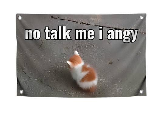 3x5 Feet Cat Meme Single Sided Flag with Quote "No Talk Me I Angy" with Four Brass Grommets - Funny Animals Banner for Wall Decoration