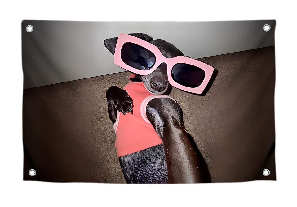 3x5 Feet Funny Flag with Small Dog in Rose Coloured Glasses Taking Selfie with Four Brass Grommets - Single Sided Meme Flag for College Dorm