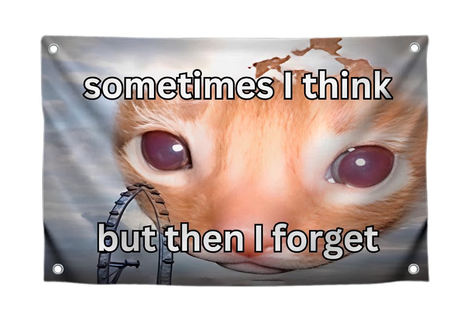3x5 Feet Cats Meme Flag with Quote "Sometimes I Think But Then I Forget" with Four Brass Grommets - Polyester College Dorm Banner for Room Decoration