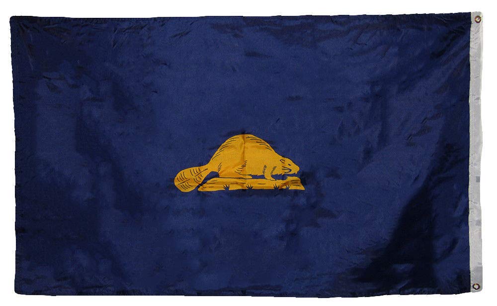 3x5 State of Oregon 3'x5' Double Sided Super Polyester Premium Quality Flag