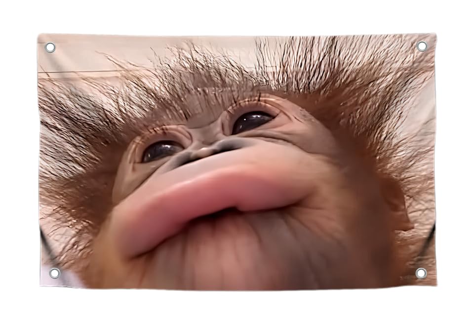 3x5 Feet Funny Flag Picture Cute Monkey with Four Brass Grommets - Single Sided Funny Flag Tapestry for Bedroom.Poster for College Dorm Boys and Girls