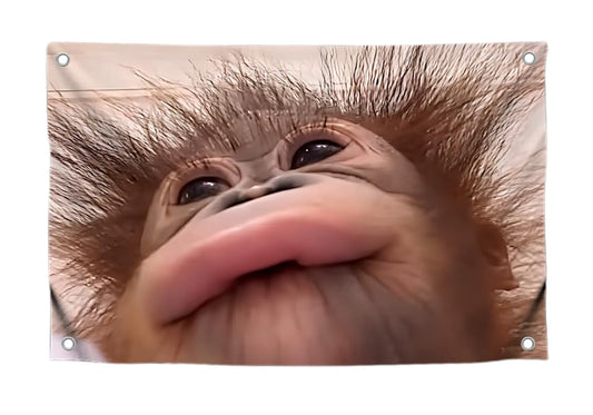 3x5 Feet Funny Flag Picture Cute Monkey with Four Brass Grommets - Single Sided Funny Flag Tapestry for Bedroom.Poster for College Dorm Boys and Girls