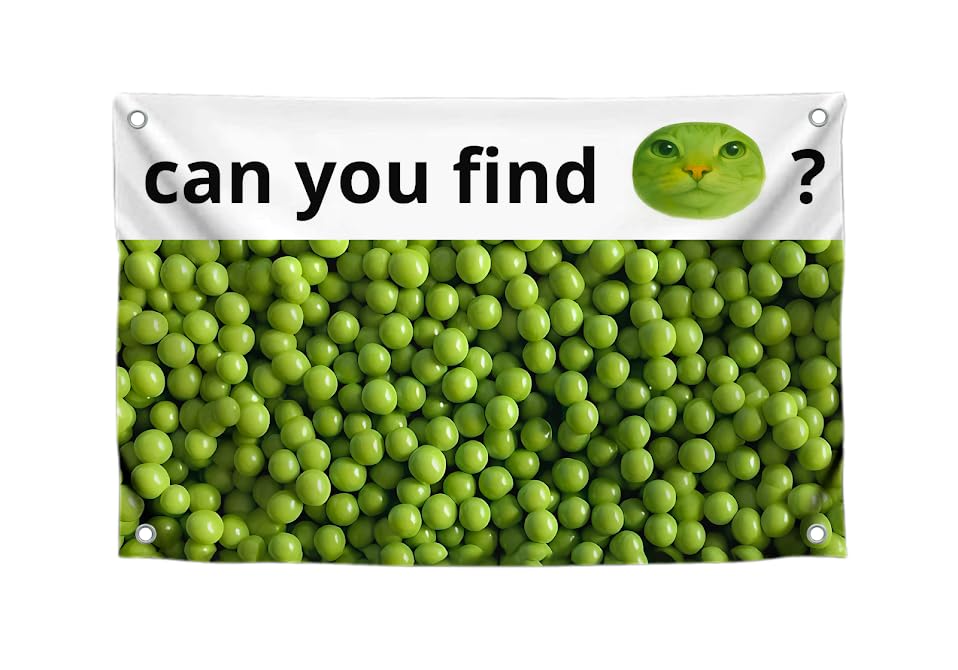 3x5 Feet Funny Single Sided Flags with Quote ''Can You Find?'' - Cool Meme Poster Polyester for Bedroom - Banners for Mens and Womens