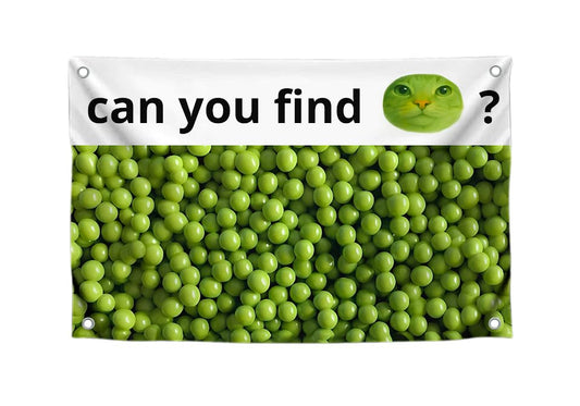3x5 Feet Funny Single Sided Flags with Quote ''Can You Find?'' - Cool Meme Poster Polyester for Bedroom - Banners for Mens and Womens