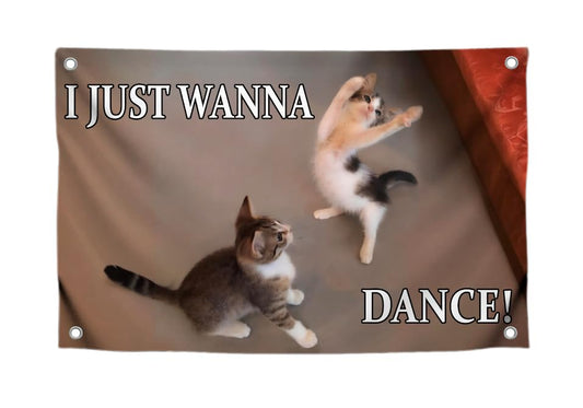 3x5 Feet Cat Meme Single Sided Flag with Quote "I Just Wanna Dance" with 4 Brass Grommets - Flag with Cats for Living Room - Funny Animals Banner