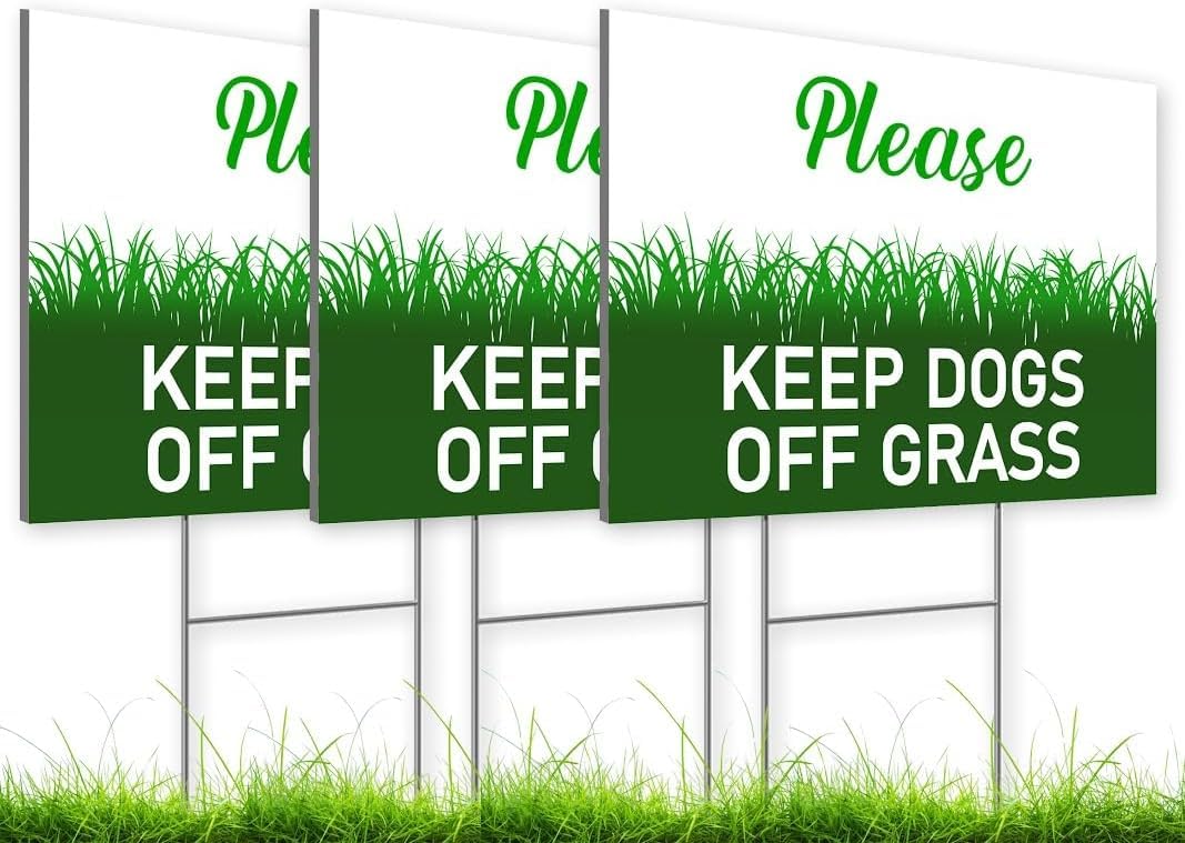 Set of 3 Smile Your On Camera Double sided Sign with Wire H-Stakes - 8x12 Inch Security Youre On Camera Warning Surveillance Plastic Signs