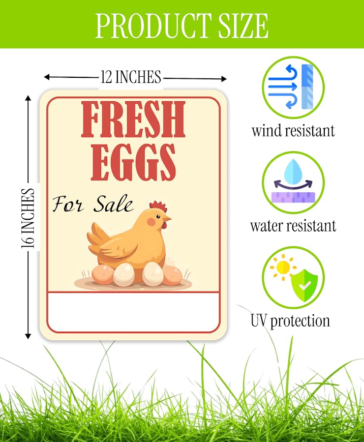 3X Double Sided 12x16 Inches Fresh Eggs For Sale Plastic Sign with Metal H-Stakes for Outdoor and Indoor