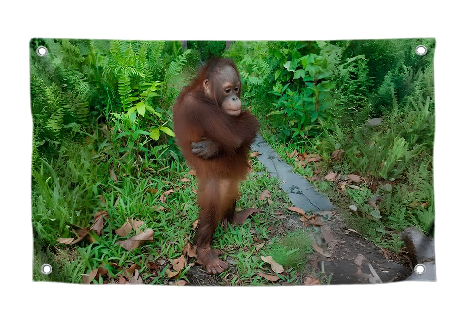 3x5 Feet Cute Orangutan Funny Meme Flag with Four Brass Grommets - Single Sided Beautiful Animals Posters for Man Cave - Polyester Hanging Tapestries