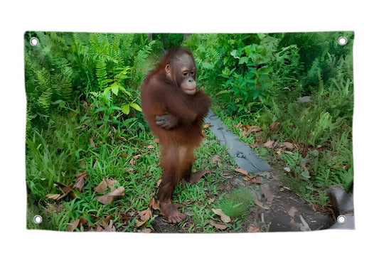 3x5 Feet Cute Orangutan Funny Meme Flag with Four Brass Grommets - Single Sided Beautiful Animals Posters for Man Cave - Polyester Hanging Tapestries