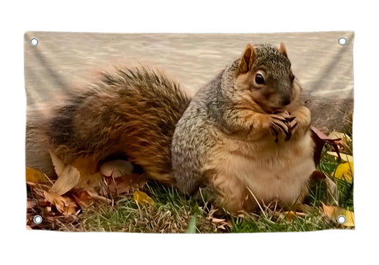3x5 Ft Cute Fat Squirrel Single Sided Flags for Bedroom Decor.Poster Polyester with Funny Animal.Cool Banners for Room Teenagers with 4 Brass Grommets
