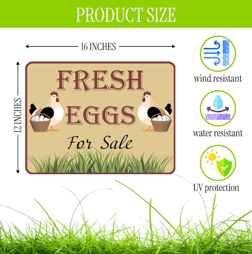Set of 3 Double Sided 12x16 Inches Fresh Eggs For Sale Sign with Metal H-Stakes - Plastic Sign Fresh or Egg Sign for Outdoor and Indoor