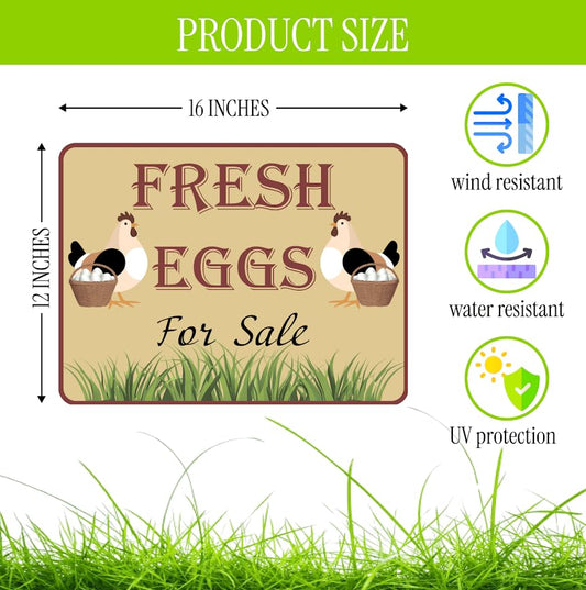 Set of 3 Double Sided 12x16 Inches Fresh Eggs For Sale Sign with Metal H-Stakes - Plastic Sign Fresh or Egg Sign for Outdoor and Indoor