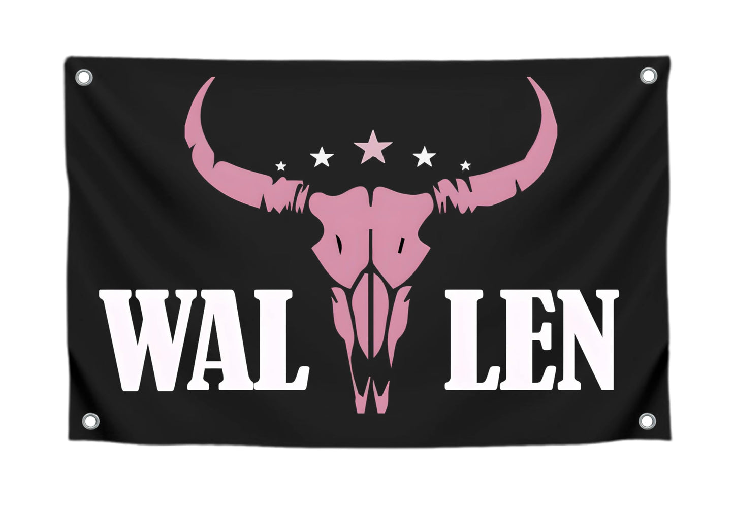 3x5 Ft American Music Polyester Flag with 4 Grommets - Western Pink Bull Skull Single Sided Banners - Man Cave Wall Flag for College Dorm Room