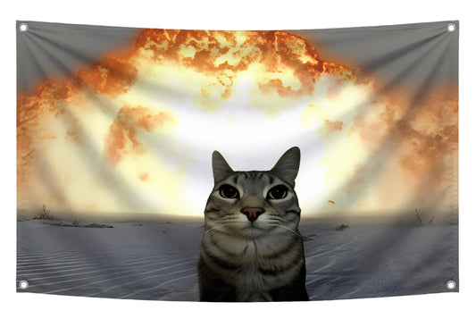 3x5 ft Funny Cat Started a Fire Meme Flag – Dorm & Bedroom Wall Banner