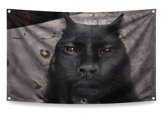 3x5 ft Funny Cat Face Meme Flag – Colorful Wall Banner