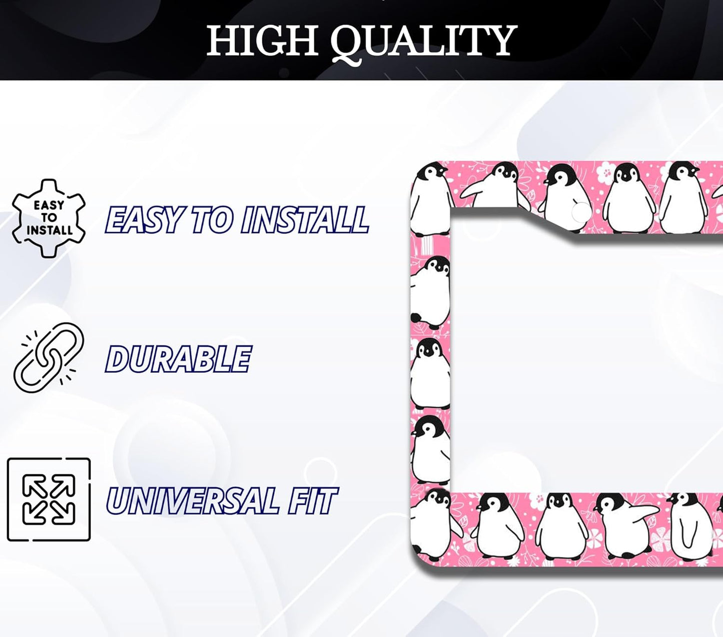 Personalized Car License Plate Frame - Stainless Steel Plate Frame with Screws 6 x 12.25 inches and 2 Holes and Screws