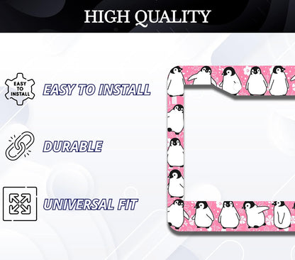 Personalized Car License Plate Frame - Stainless Steel Plate Frame with Screws 6 x 12.25 inches and 2 Holes and Screws