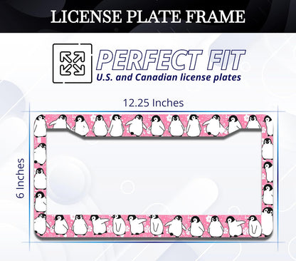 Personalized Car License Plate Frame - Stainless Steel Plate Frame with Screws 6 x 12.25 inches and 2 Holes and Screws