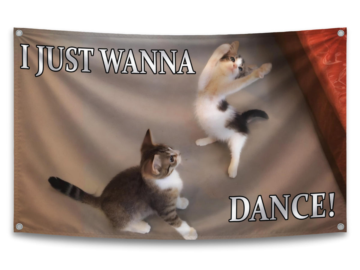 3x5 ft "I Just Wanna Dance" Cat Meme Flag – Funny Animal Wall Banner