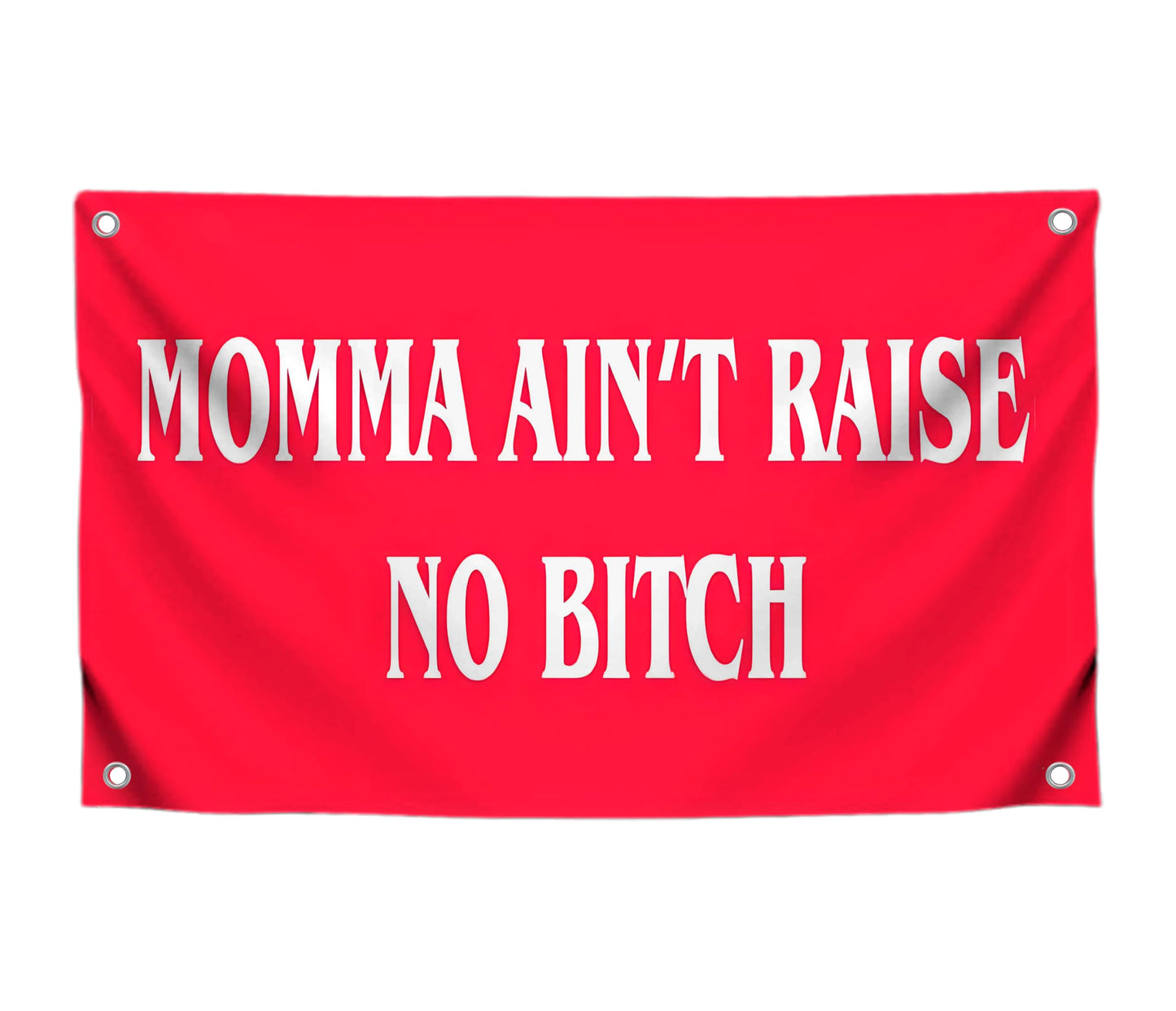 3x5 Feet Momma Ain't Raise No B-itch Polyester Flag with 4 Brass Grommets - Funny Tapestry Boys Wall Hanging Single Sided Flags - College Gifts
