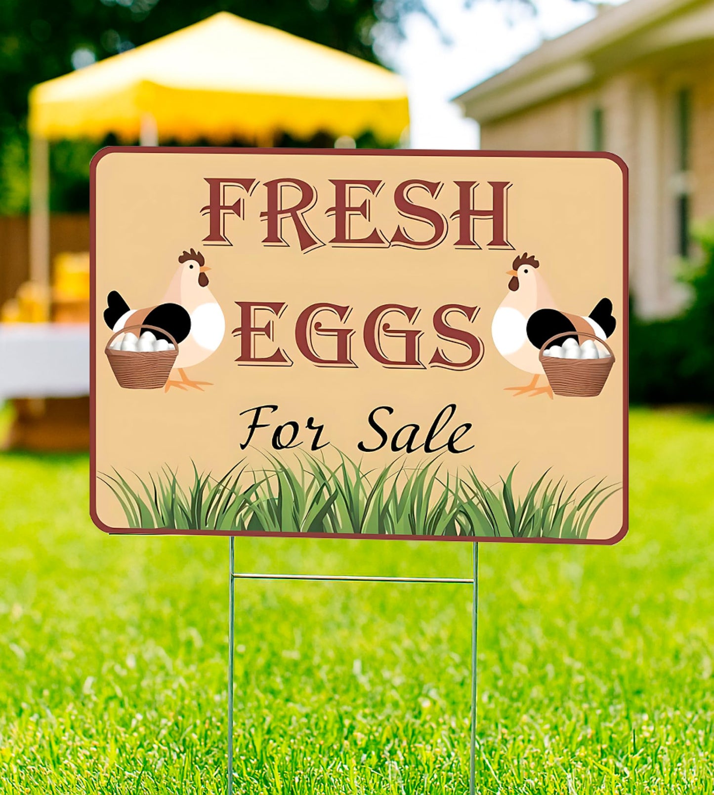 Set of 3 Double Sided 12x16 Inches Fresh Eggs For Sale Sign with Metal H-Stakes - Plastic Sign Fresh or Egg Sign for Outdoor and Indoor