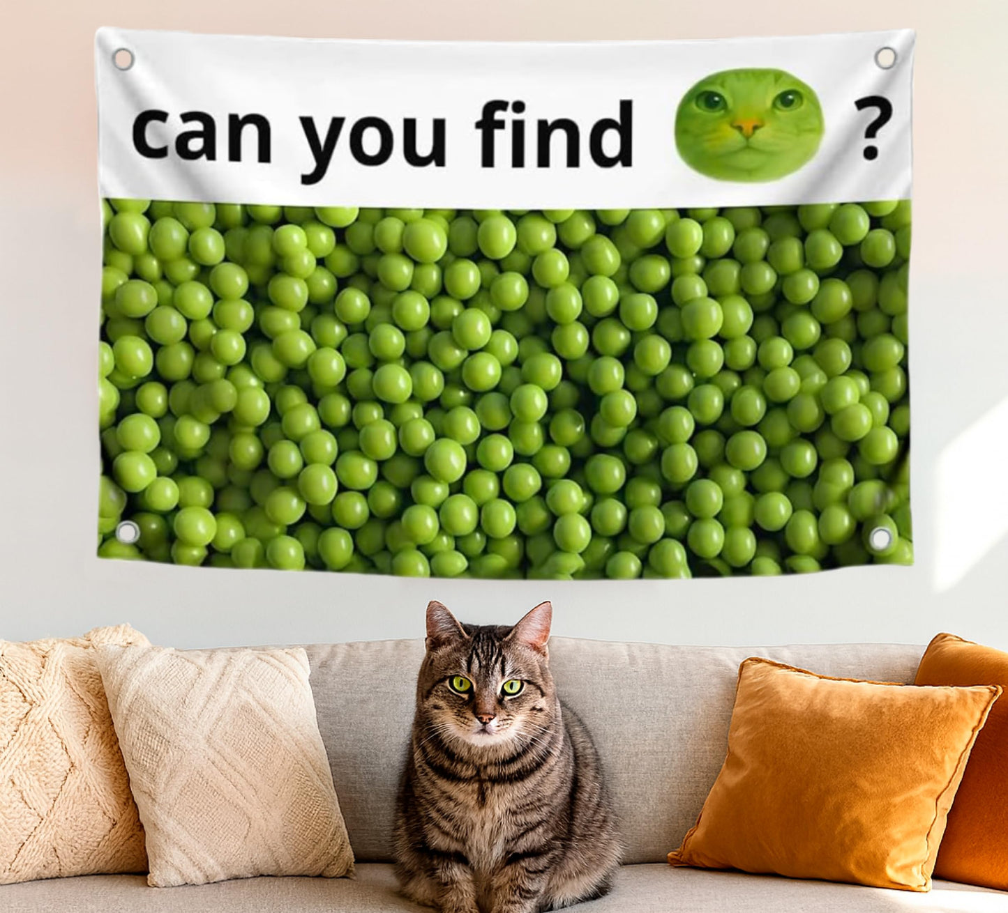 3x5 Feet Funny Single Sided Flags with Quote ''Can You Find?'' - Cool Meme Poster Polyester for Bedroom - Banners for Mens and Womens