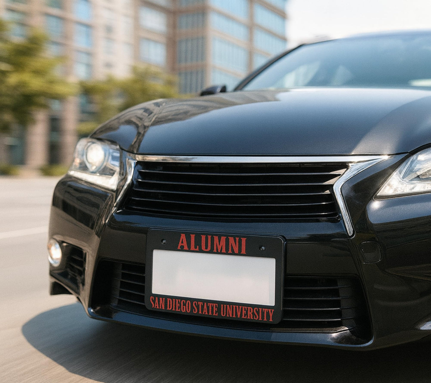 6x12.25 Inch Funny License Plate Frame for US Standard SAN Diego State University - Alumni Text License Plate Frame Stainless Steel for Front