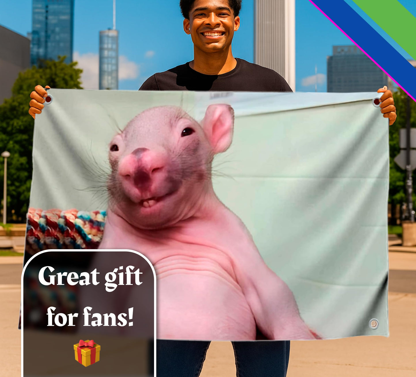 3x5 Feet Bald Rat Meme Single Sided Flag with Four Brass Grommets - Funny Flag for College Party Indoor and Outdoor Decoration