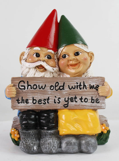 LUIVU Cute Fairy Statue Couple Gnomes - Growing Old Together - Indoor/Outdoor Garden Gnome Patio Home Decor Romantic Figurine Love Wedding