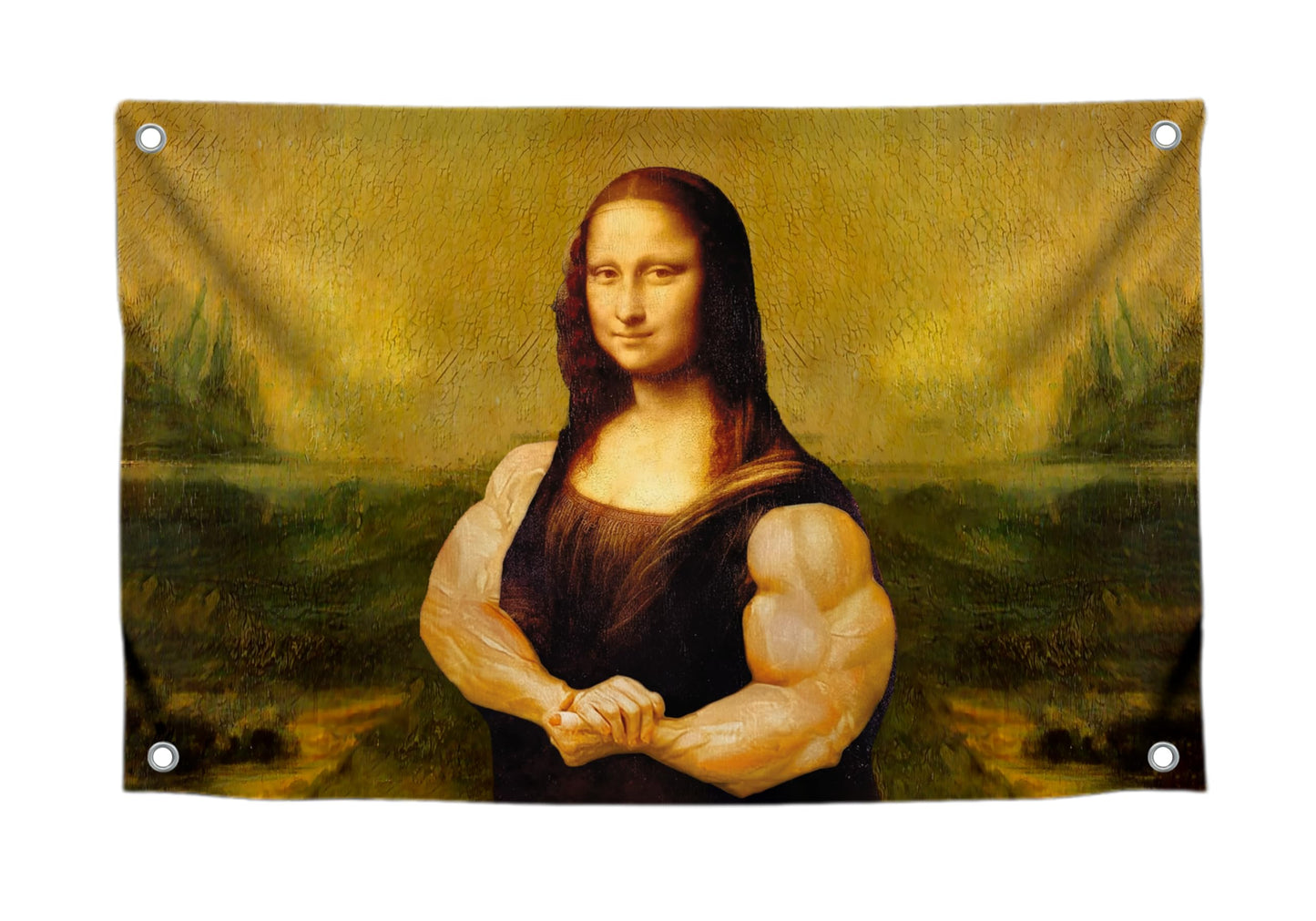 Mona Lisa Funny Flag 3x5 Ft - Durable Man Cave Wall Polyester Flags with 4 Brass Grommets - College Dorm Room Decor Tapestry - Mem Single Sided Flag