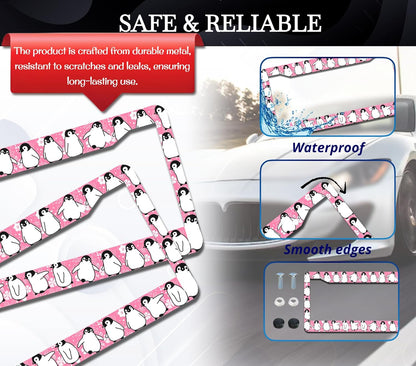 Personalized Car License Plate Frame - Stainless Steel Plate Frame with Screws 6 x 12.25 inches and 2 Holes and Screws