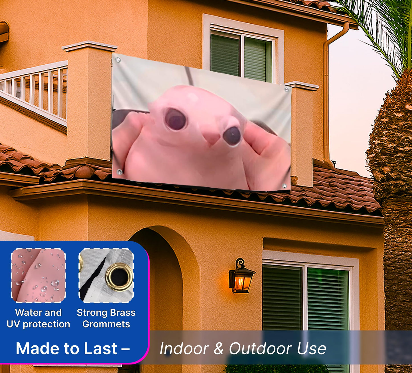 3x5 Feet Meme Flag of Hairless Cat - Funny Bingus Face - Single Sided Polyester with 4 Brass Grommets - Funny Flags for Cat Meme Lovers