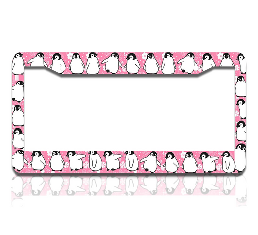 Personalized Car License Plate Frame - Stainless Steel Plate Frame with Screws 6 x 12.25 inches and 2 Holes and Screws